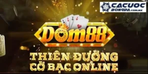 Dom88 - Đánh Giá Nhà Cái Mới Nhất Để Tân Thủ Lựa Chọn 7 dom88 anh dai dien