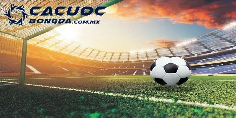 Cập nhật tin tức bóng đá Anh nhanh, chuẩn xác năm 2025