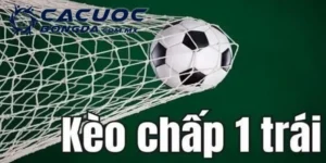 Kèo Chấp 1 Trái: Giải Mã Toàn Diện Cho Mọi Tân Thủ 2 keo chap 1 trai
