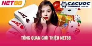 Net88 – Thông Tin Về Thiên Đường Cá Cược Hàng Đầu Việt Nam 13 net88 anh dai dien