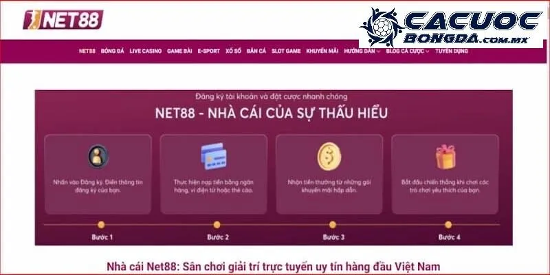Net88 – Thông Tin Về Thiên Đường Cá Cược Hàng Đầu Việt Nam 1 Tất tần tật thông tin về nhà cái uy tín - Net88