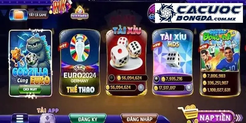 Câu hỏi hay gặp về nhà cái Rikvip