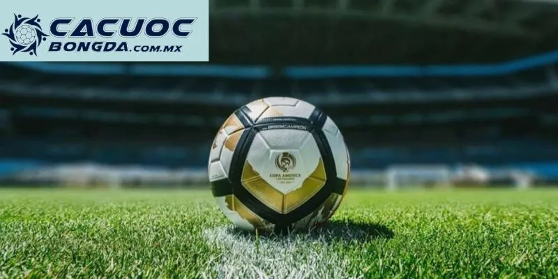 Trang Cá Cược Uy Tín Vivu88 - Thưởng Thức Bóng Đá Miễn Phí 2 Chia sẻ cho bạn về những thông tin hệ thống tại đây cung cấp