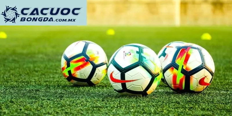 Trang Cá Cược Uy Tín Vivu88 - Thưởng Thức Bóng Đá Miễn Phí 3 Tổng hợp các giải đấu có lượt theo dõi cực khủng tại Vivu88