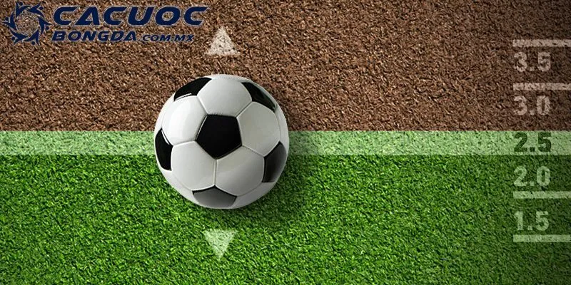 Tỷ Lệ Kèo 88 - Review Về Trang Cung Cấp Dịch Vụ Nổi Tiếng 3 Kèo tài xỉu cập nhật nhiều tại trang dịch vụ