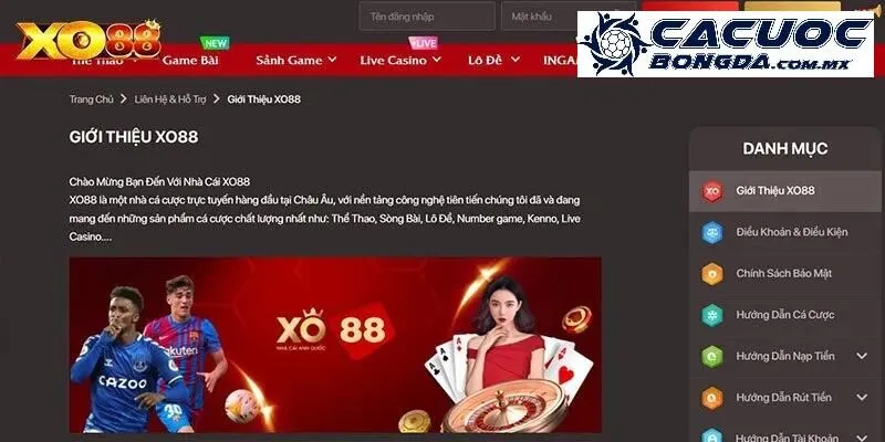 5 sản phẩm cá cược hấp dẫn tại xo88