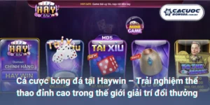 Cá cược bóng đá tại Haywin – Trải nghiệm thể thao đỉnh cao trong thế giới giải trí đổi thưởng 3 Cá cược bóng đá tại Haywin – Trải nghiệm thể thao đỉnh cao trong thế giới giải trí đổi thưởng