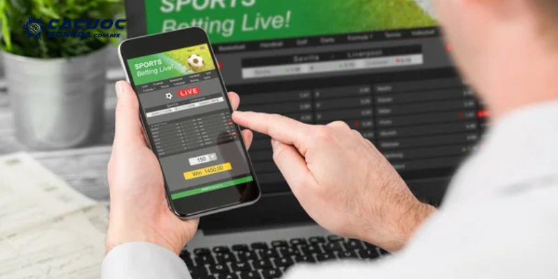 Bạn sẽ nhận được tỷ số trực tiếp tại hệ thống