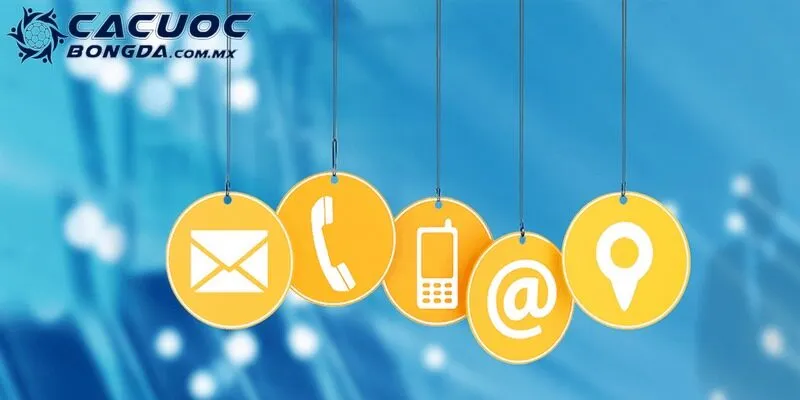 Các phương thức liên hệ nhân viên tổng đài