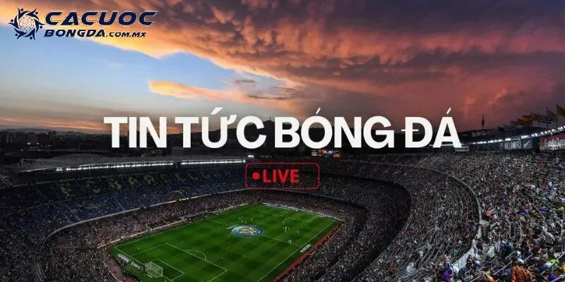 Nhờ nhân viên hỗ trợ tin tức bóng đá