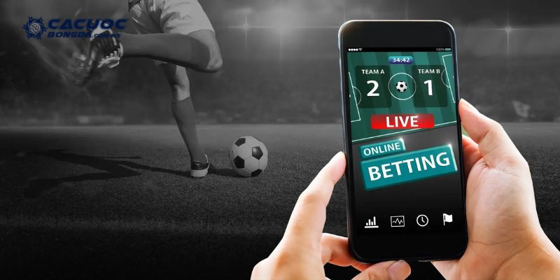 Livescore giúp người chơi đưa ra lựa chọn có cơ sở